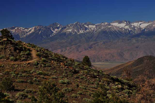 view from Bristlecone